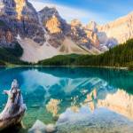 Mathéo Profile Picture