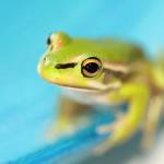 Silvia325161 Profile Picture