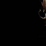 Leonardo Profile Picture