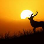 Arthur Profile Picture