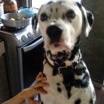 Karla Ramos Profile Picture