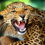 Matilde031461 Profile Picture