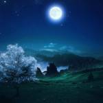 Travis Profile Picture