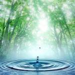 Anastasia Profile Picture