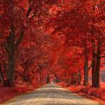 Clément Profile Picture