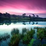 Nero Profile Picture