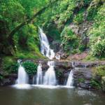 Jordan Profile Picture