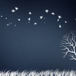 Jeremi Profile Picture