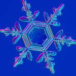 Silvia0314 Profile Picture