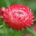 Yostin35651 Profile Picture