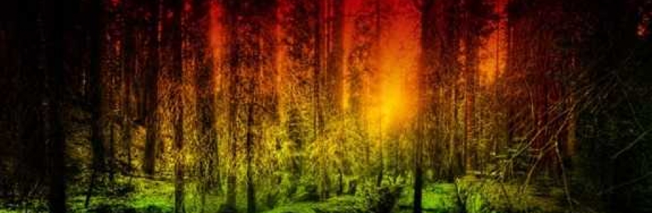 Marwane844 Cover Image