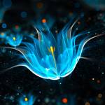 Fredrik Profile Picture