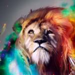 Jayanta Profile Picture