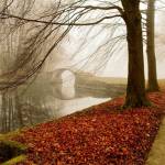 Kevin Profile Picture