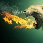 Marichi Profile Picture