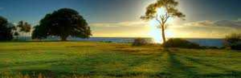 Zacharis0154 Cover Image