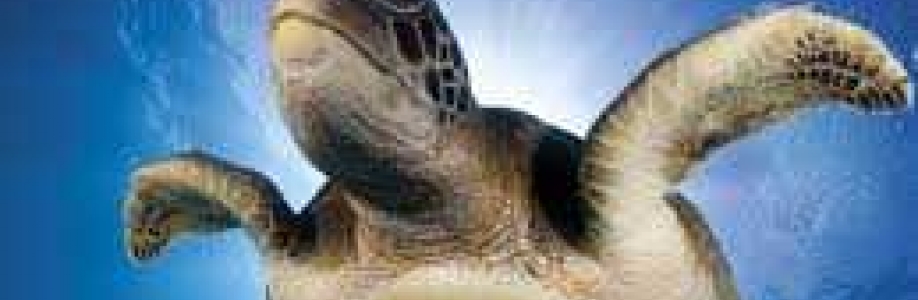 Silvia325161 Cover Image