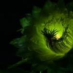 Charlotte8436 Profile Picture