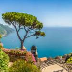 Christobal Profile Picture