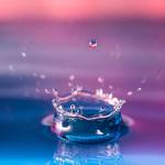 Federica Profile Picture