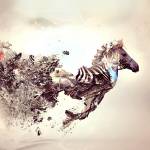 Tapanig Profile Picture