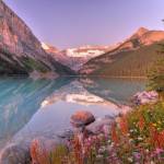 Vilokytd Profile Picture