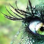 Jishnur Profile Picture