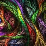 Malarvilif Profile Picture