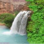 Maytte Profile Picture