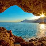 Mohin Profile Picture