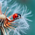 Vivekanatrsnda Profile Picture