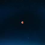 Sultan Profile Picture