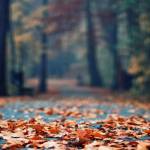 Quyn Profile Picture