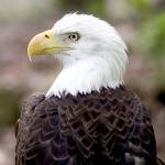 matusertwo Profile Picture