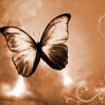 Shuklajgk Profile Picture