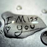 Manimekhdala Profile Picture