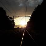 Alibxvsww Profile Picture