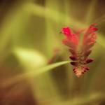 Vaijnathmru Profile Picture