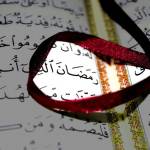 Fabiormy Profile Picture