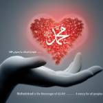 Peterxnbg Profile Picture