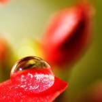 Javedy Profile Picture