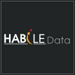 Habile data profile picture