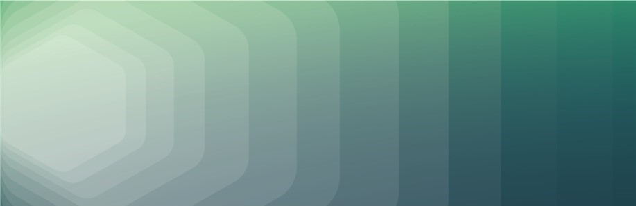 Infosphere Leader Cover Image